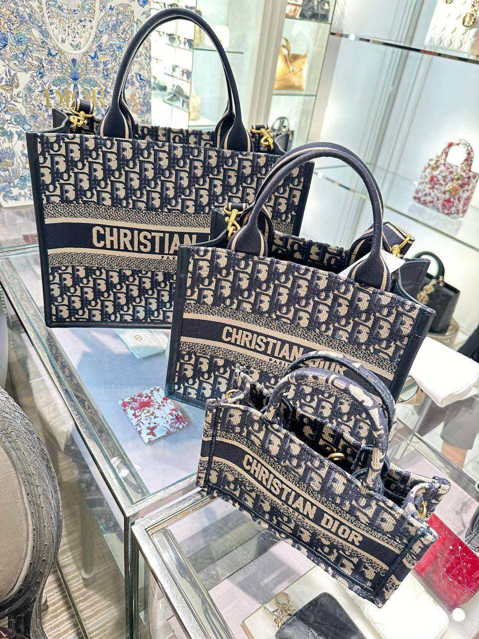 Pre order Dior Book tote with strap