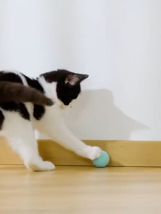 Dog Cat Toys Smart Ball Toys For Pets Auto Rolling Ball Self-moving Interactive Puppy Toys Pet Accessories