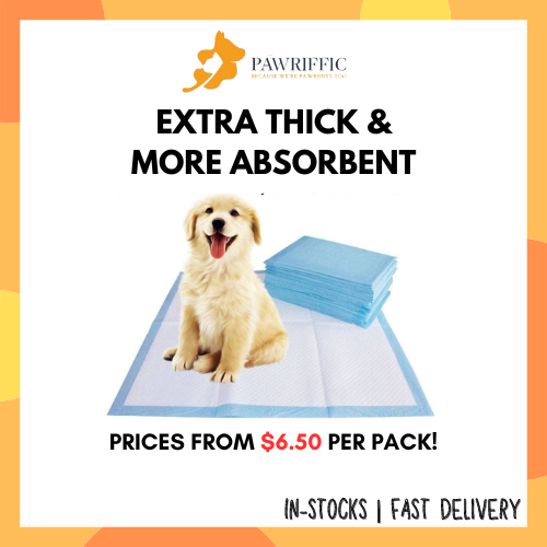 [LOCAL STOCKS AND BRAND] Pet/Dog/Cat/Hamster/Rabbit Pee Training Pad