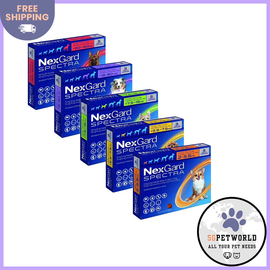 Nexgard Spectra Chews for Dogs Flea & Tick Treatment ALL size pack